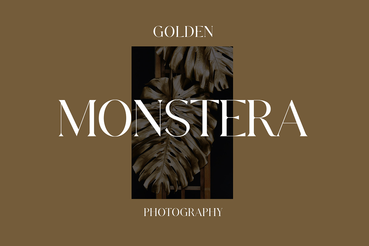 Velomia Vanora Modern Serif Font, a Serif Font by UICreative (Photo 4 of 13)