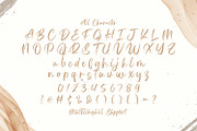 Astria - Handwritten Font, a Script Font by StringLabs (Thumbnail 8 of 9)