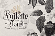 Lion Parade - Bonus Ornaments, a Font by Letterhend Studio (Thumbnail 2 of 9)