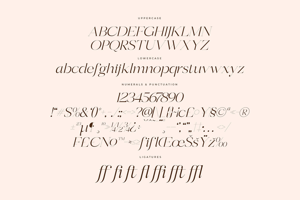Berloja Satfline Modern Serif Font, a Serif Font by Letterena Studios (Photo 14 of 15)