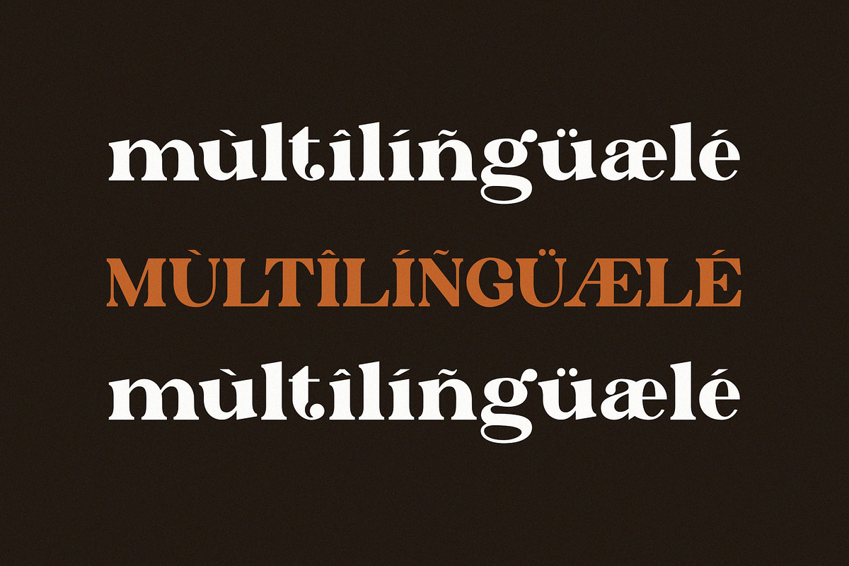 The Braga Modern Font, a Serif Font by Font Kingdom (Photo 6 of 7)
