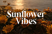 Jacklight Beach Serif Retro Font, a Serif Font by UICreative (Thumbnail 12 of 13)