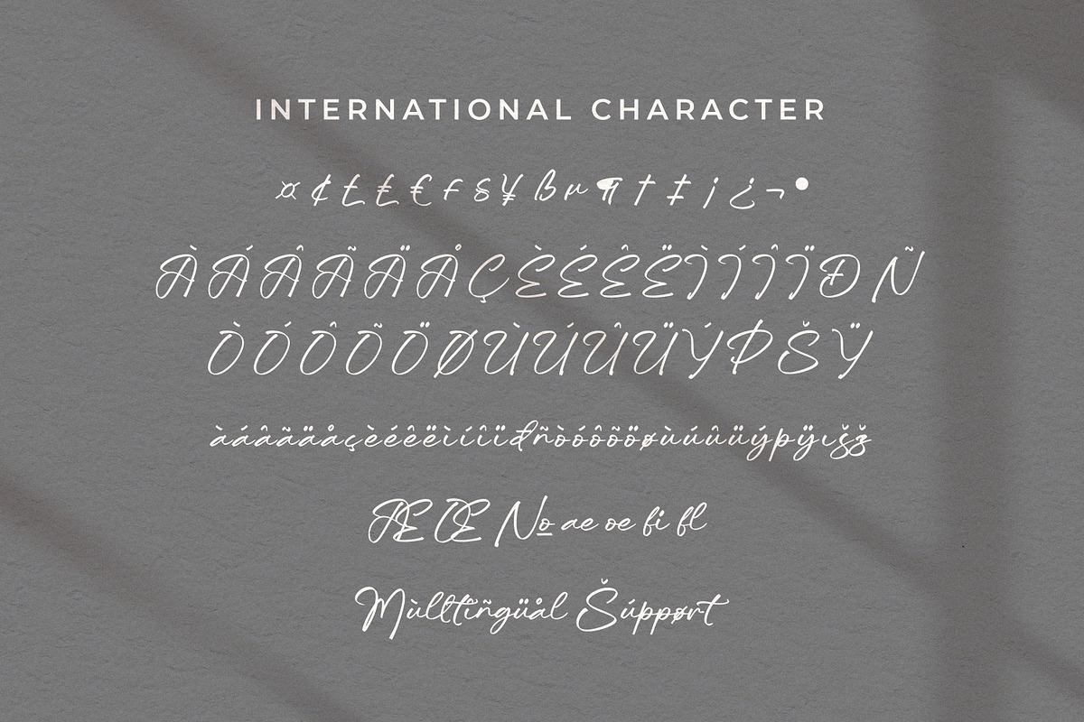 Trelasty Bettany, a Script Font by Integritype Studio (Photo 10 of 15)