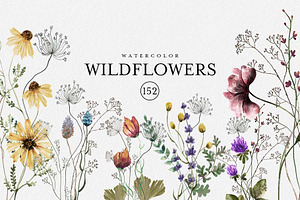 Watercolor Wildflowers. 1 Vol.