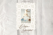 Bloom Season: Backgrounds & Frames, a Background Graphic by Mio Buono (Thumbnail 10 of 10)