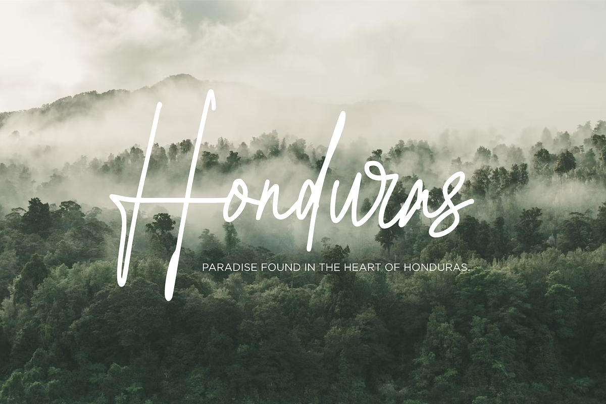 Cupicupita - Signature Font, a Handwritten Font by Badsign Type (Photo 8 of 9)
