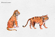 Tropical leaves graphic pack, an Illustration by Belusuab (Thumbnail 4 of 16)