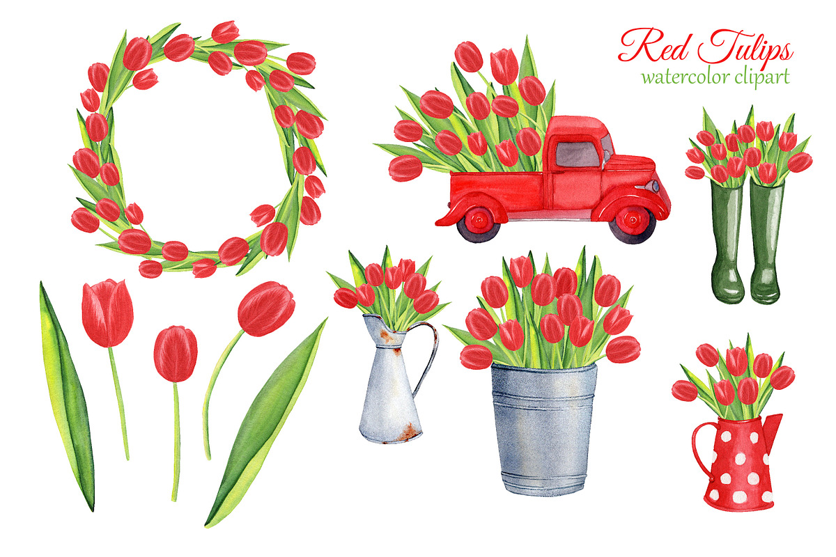 Red tulips watercolor clipart, an Illustration by s.yanyeva (Photo 2 of 4)