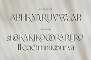 Vapour | Modern Elegant, a Serif Font by Pentagonistudio (Thumbnail 9 of 10)
