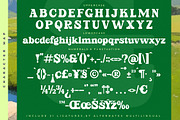 Parfect Silent Modern Bold Serif, a Serif Font by timelesstype.co (Thumbnail 18 of 20)