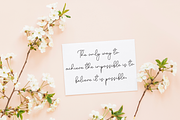 Adelya | Script Font, a Handwritten Font by Scratchones (Thumbnail 5 of 9)