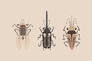 Folk Art Insects., an Animal Illustration by Annakniaz (Thumbnail 3 of 15)