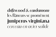 Sotira - A Crisp Sans Serif, a Font by Evoke Type Studio (Thumbnail 2 of 15)