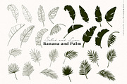 Palm Leaf Vectors and Textures, a Texture Illustration by Fire Spark Studio (Thumbnail 3 of 7)