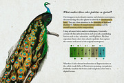 Hand Colored Engraving Procreate Kit, a Brush Add-On by Digi Life (Thumbnail 4 of 10)