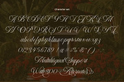 LT Nouvelle Jardin – Romantic Script, a Script Font by Luminotype (Thumbnail 10 of 10)