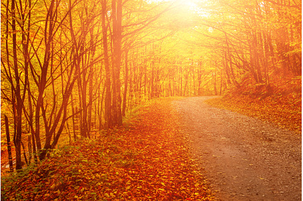 Beautiful autumn landscape, a Nature Photo by Nature and travel