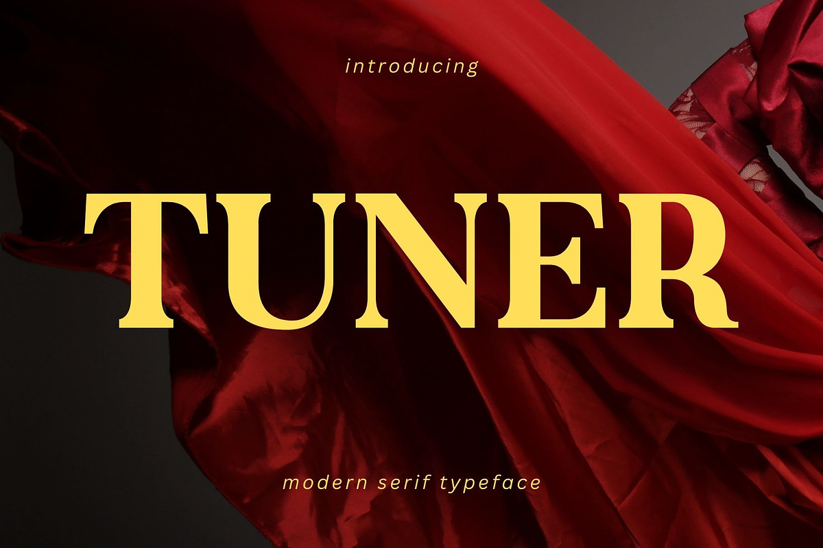 Tuner - Modern Serif Typeface, a Serif Font by Font Kingdom (Photo 1 of 6)