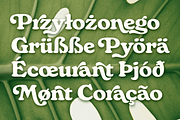 Monstera - Delicious Retro Serif, a Serif Font by Fenotype (Thumbnail 13 of 13)