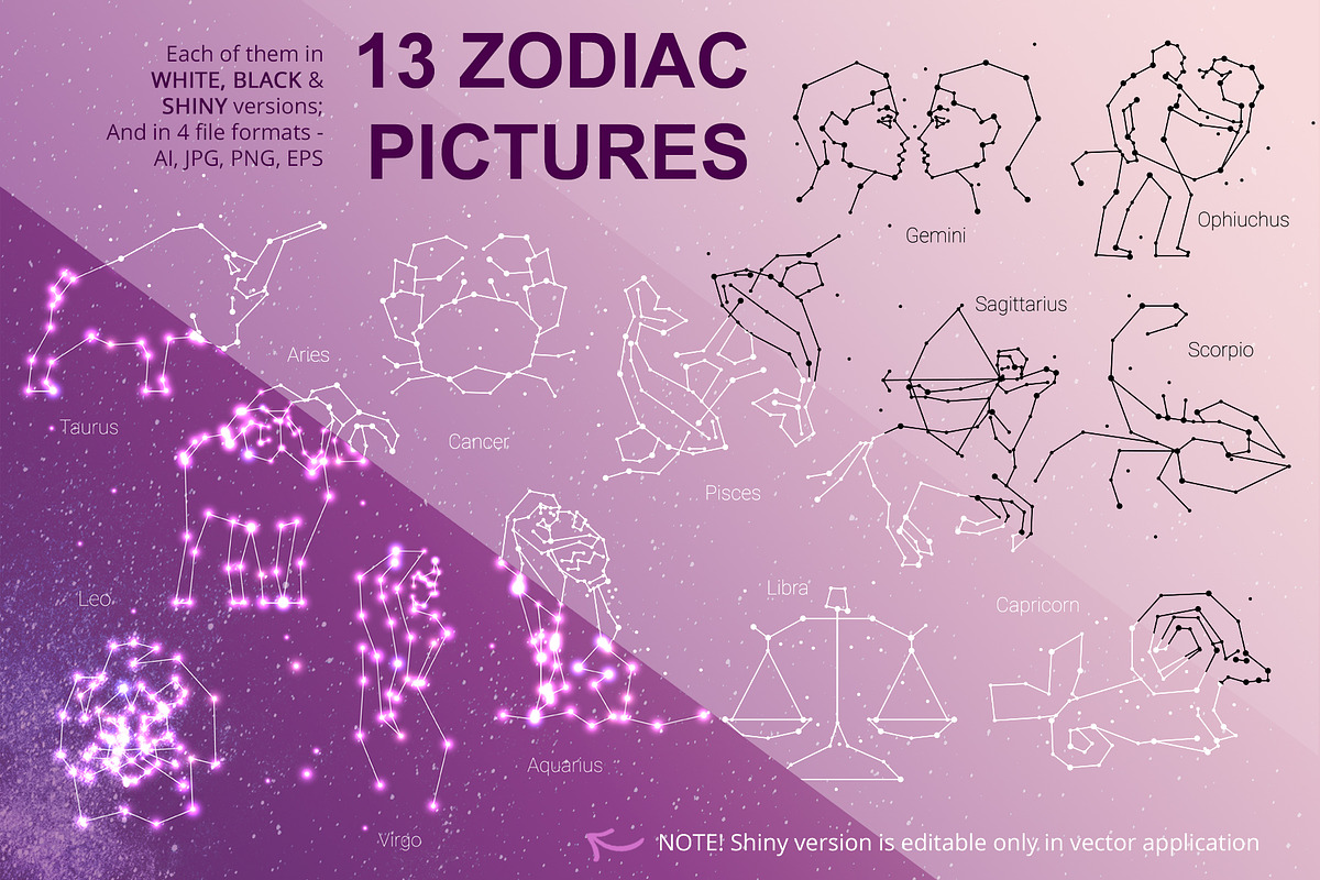 Constellation vector MegaPack, an Animal Illustration by ❤️ KiraSolly (Photo 8 of 17)