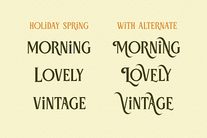 Holiday Spring - Display Serif Font