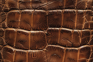 Brown crocodile leather texture, a Beauty & Fashion Photo by Handmadefont