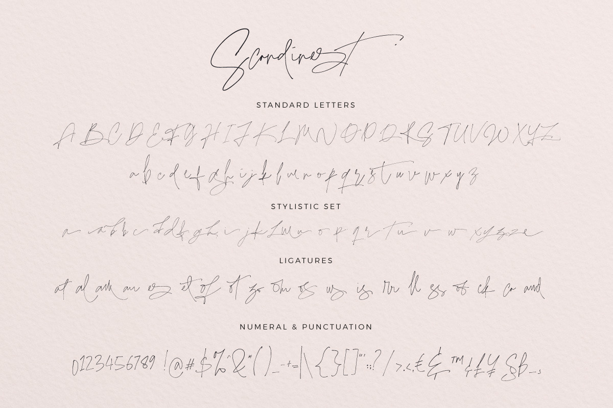 Scandinest - Signature With Ligature, a Script Font by Dirtytemp Studio (Photo 16 of 16)
