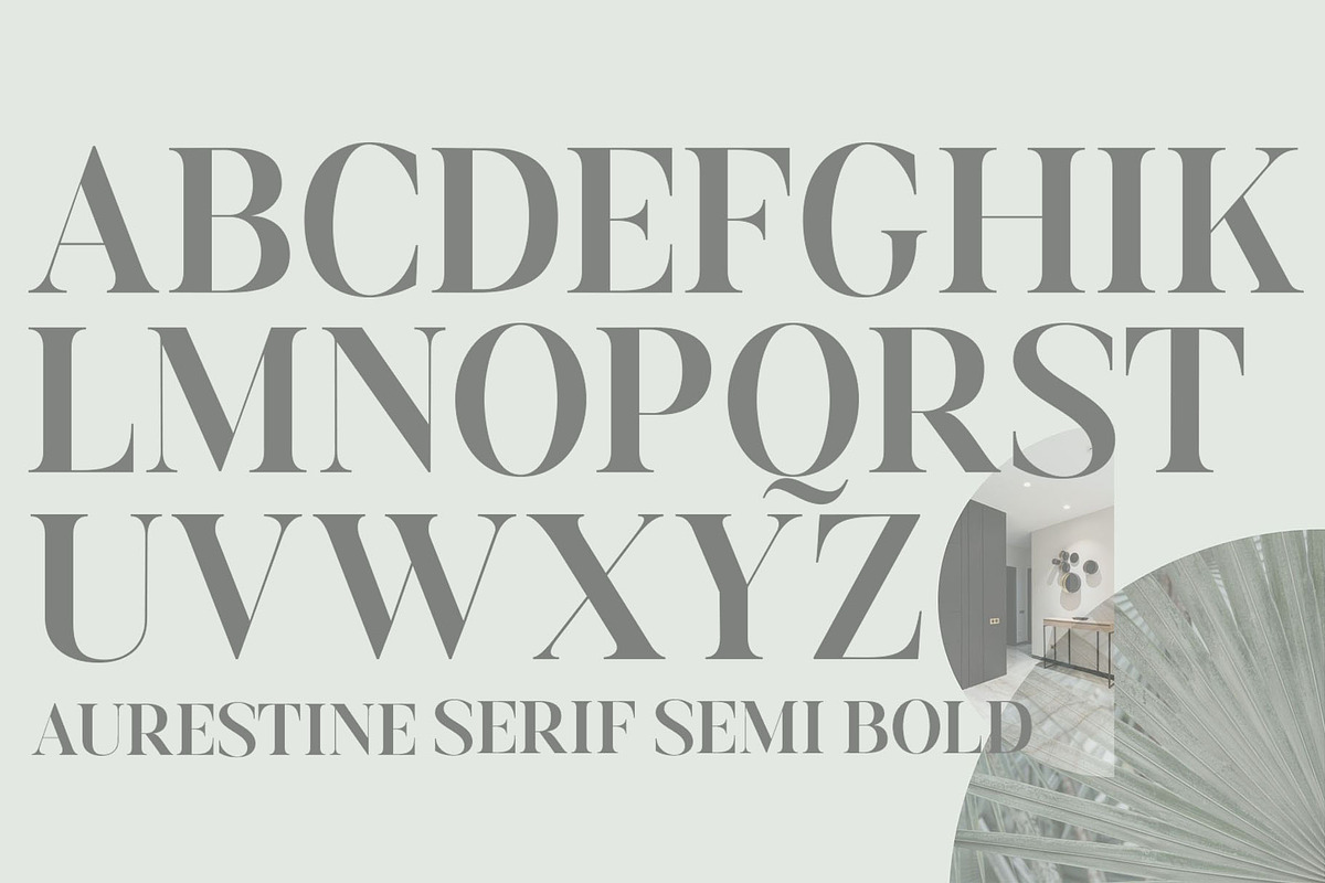Aurestine Serif, a Serif Font by Typehill (Photo 13 of 14)