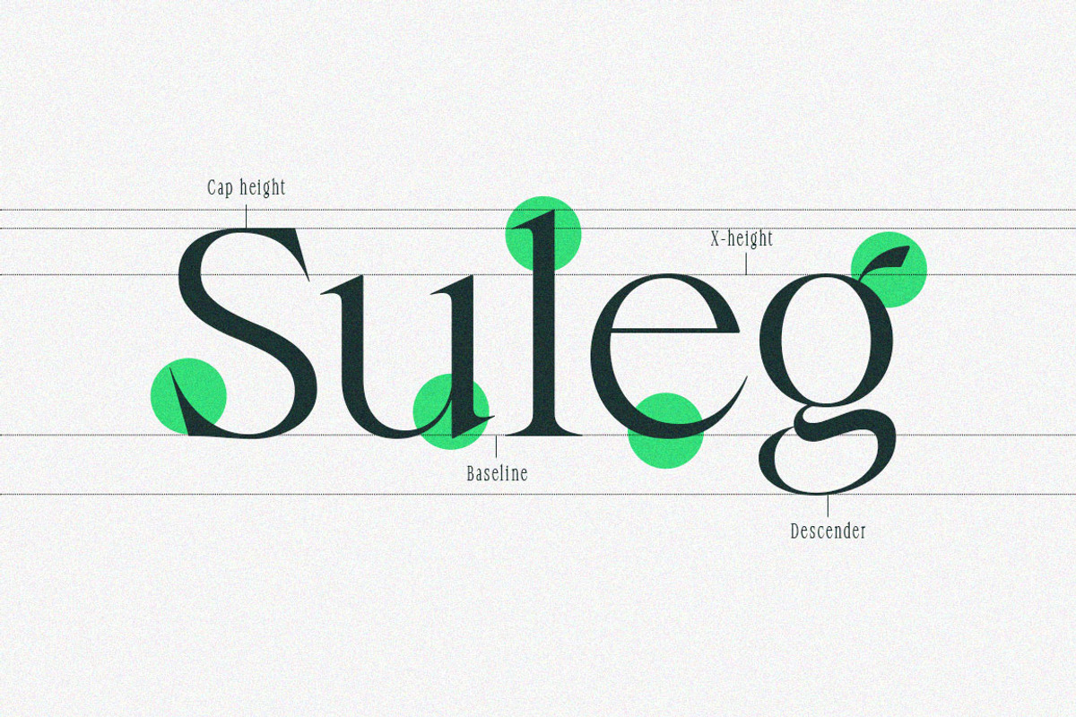Krista's - Display Serif, a Serif Font by Dora Typefoundry (Photo 5 of 23)