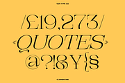 TAN - CLEMENTINE, a Serif Font by TanType (Thumbnail 14 of 20)