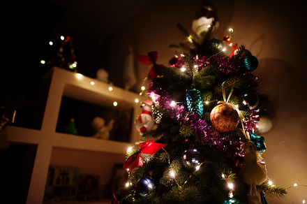 Christmas tree with shining garlands on evening home., a Holiday Photo by AS photostudio