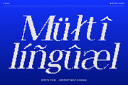 Ripete Pixel, a Serif Font by Craft Supply Co. (Thumbnail 7 of 8)