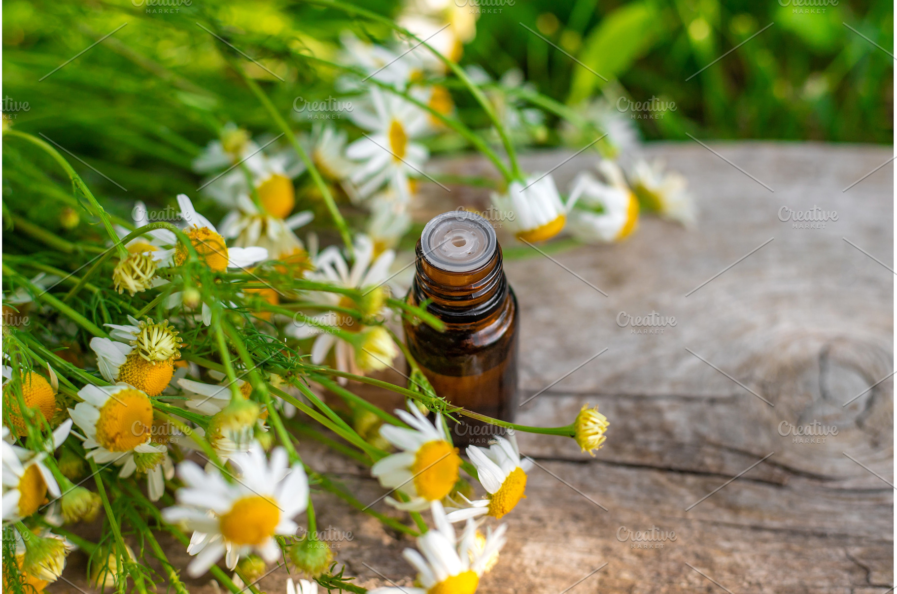 Chamomile for alternative medicine, a Beauty & Fashion Photo by yanadjana