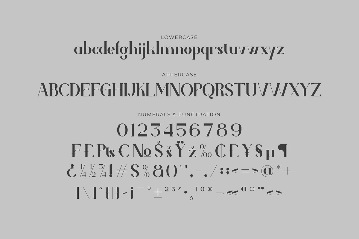 Vamoria- Serif Typeface Font, a Serif Font by Rishsketch (Photo 13 of 15)