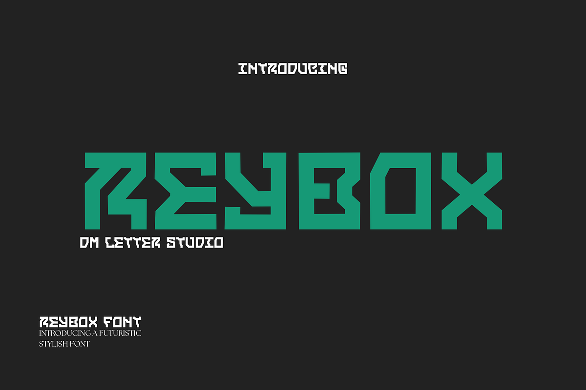 Reybox – Futuristic Stylish Display, a Sans Serif Font by Dm Studio (Photo 1 of 11)