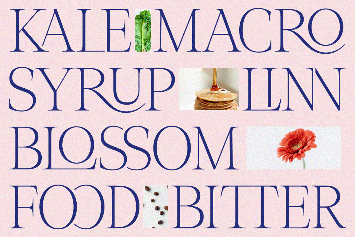 Role Model | Contemporary Serif, a Serif Font by Ef Studio (Photo 10 of 13)
