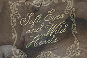 Alkes Romantic Whimsical Script Font, a Script Font by AnMark (Thumbnail 2 of 12)