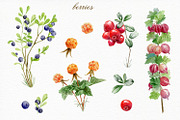 Forest watercolor designer toolkit, an Animal Illustration by Elegantia (Thumbnail 10 of 28)
