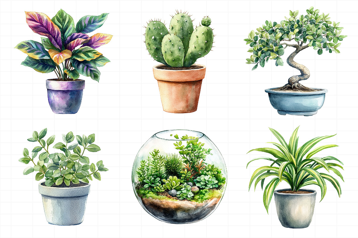 Watercolor Home Plants Clipart, an Illustration by Daily.Designs (Photo 4 of 8)