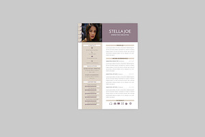 Marketing Executive Resume Designer