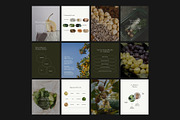 Gut Health Instagram Template, a Social Media Template by Terraa Studio Design (Thumbnail 7 of 10)