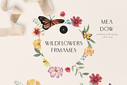 MEADOW bright wild flowers set, a Decorative Illustration by Grace Noboa Illustrations (Thumbnail 2 of 8)