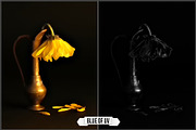 Infrared Ultraviolet Monochrome LUTs, a Plug-in Add-On by Raztrend (Thumbnail 14 of 30)