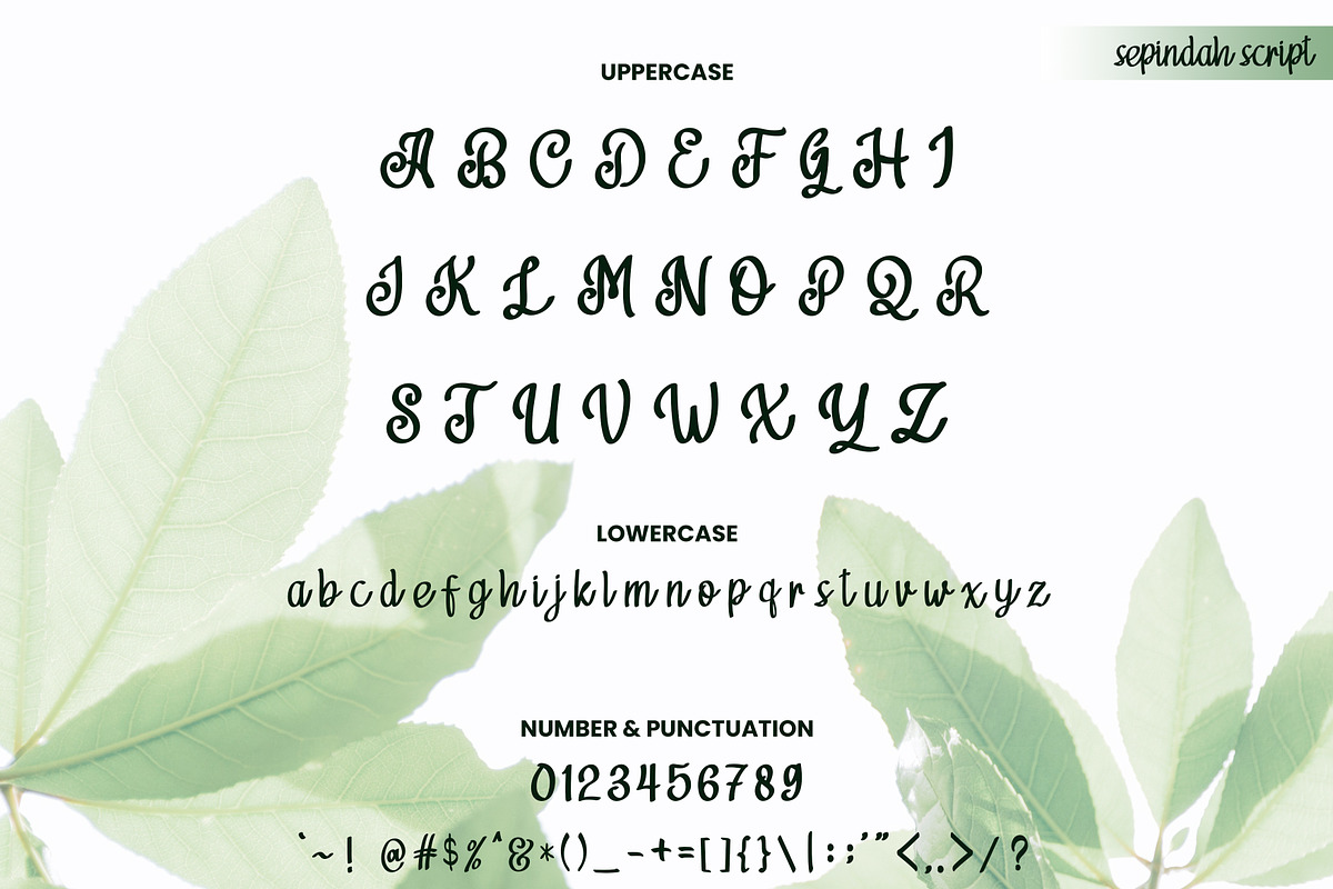 Sepindah Font Duo Sans & Script, a Handwritten Font by Iwanistic (Photo 8 of 15)