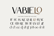Emola Royce - Aesthetic Font, a Sans Serif Font by Fype Co. (Thumbnail 4 of 5)