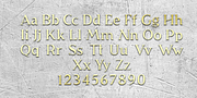 Latim, a Serif Font by Ixipcalli (Thumbnail 3 of 5)