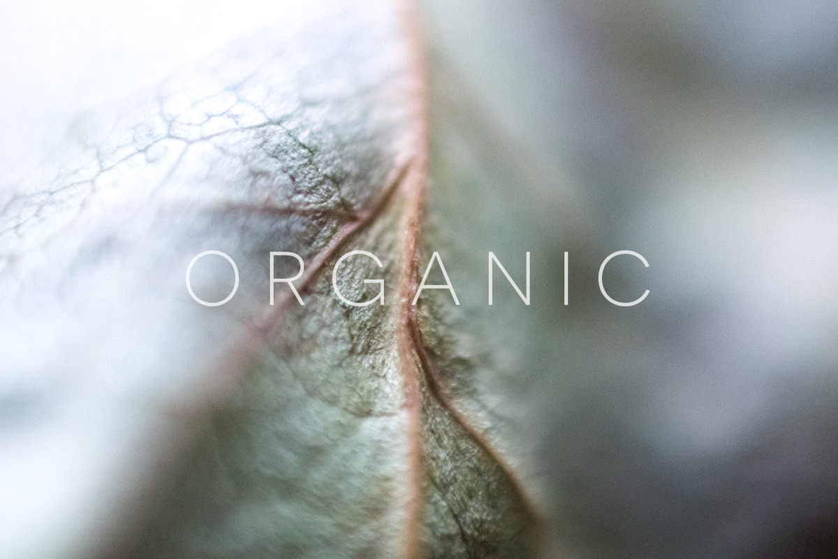 Organic | 20 Botanical Photos, a Nature Photo by Melanie Helena (Photo 18 of 20)
