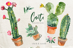 Cacti Watercolor Cactuses Clipart