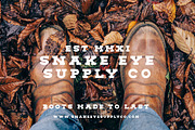 The Vintage Slab Font Collection, a Slab Serif Font by Zone 6 (Thumbnail 5 of 9)