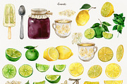 Elderberries&Elderflowers Collection, a Food Illustration by TanyaOak (Thumbnail 5 of 9)